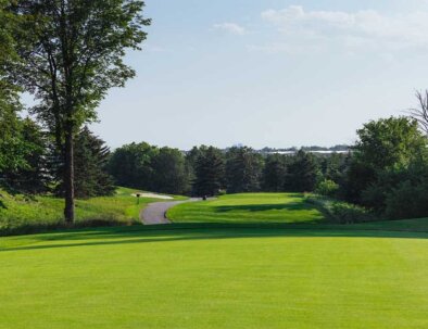 North-1-Tee_s-Reverse-opt