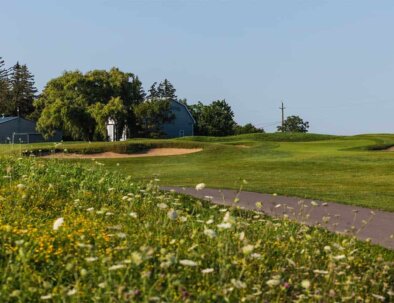 North-1-Fwy-to-Green-2-opt