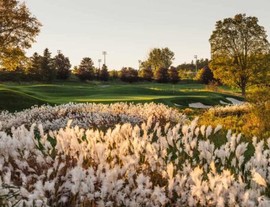 South---12-View---opt