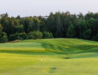 North-2-Fwy-to-Green-opt