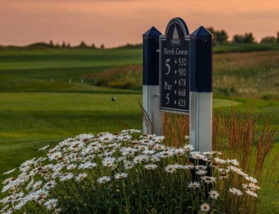 North-5-Tee-Box-Info-opt