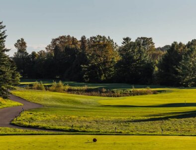 South-3-Tee-View-opt