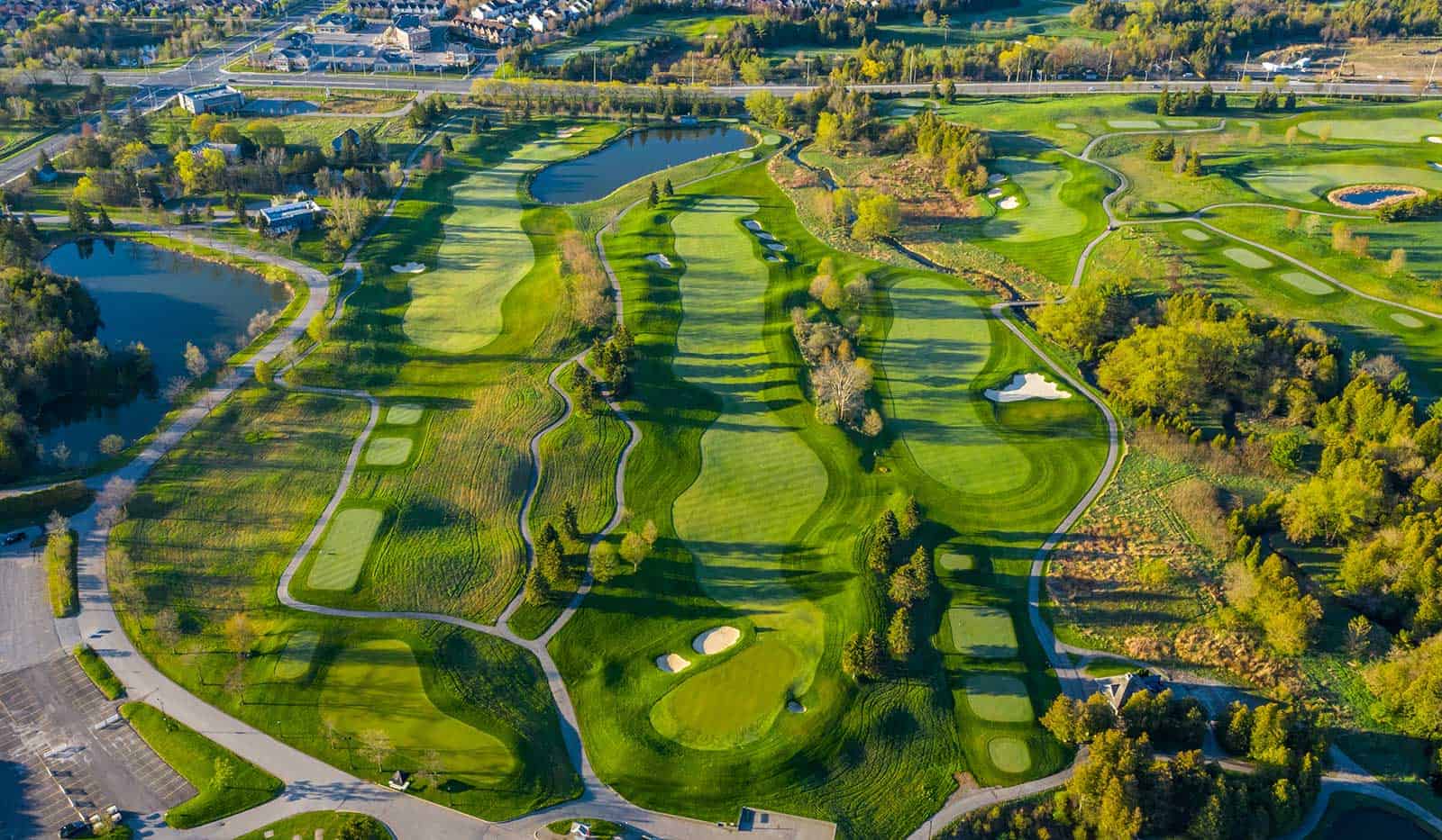 Download-Scorecard-opt