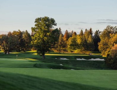 South-16-Fwy-to-Green-opt